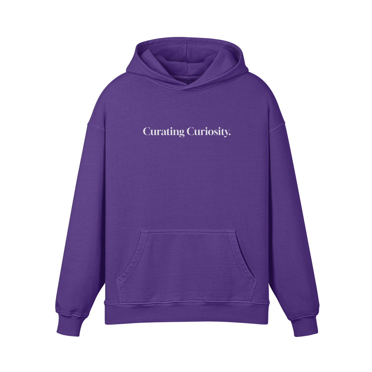 Curating Curiosity Overweight Hoodie